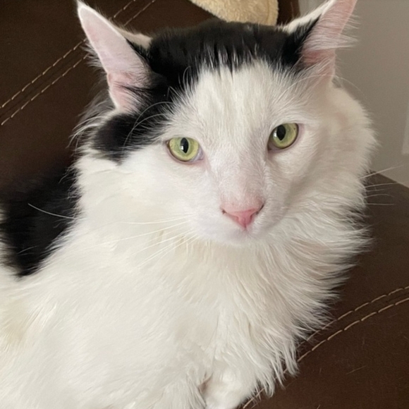 SOLD- @LEIGHERICAXO ONLY - Picture 2 of 3